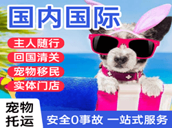 尧都航空货运国际宠物托运 【国